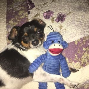 Meet your Posher, Cynthia